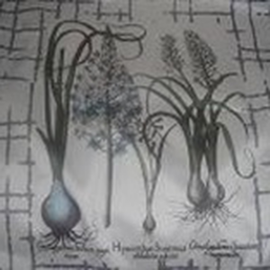 Cojin digital bco c705 50 x 50 // Pedido especial