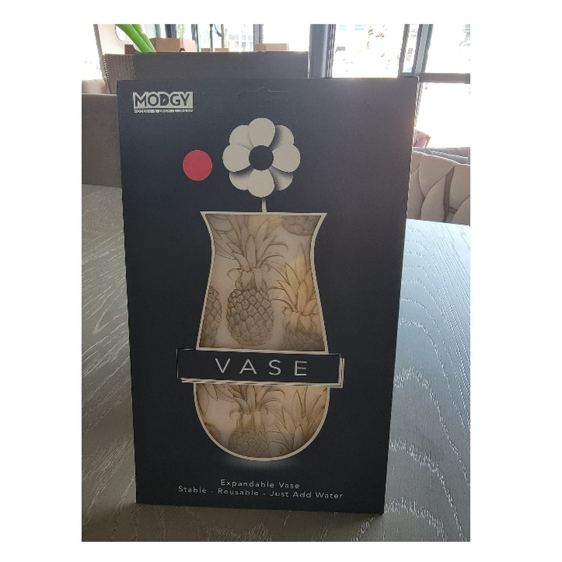 Piña, ladylib, octopus, elena, inky, fronz, ollie florero expandible // Outlet